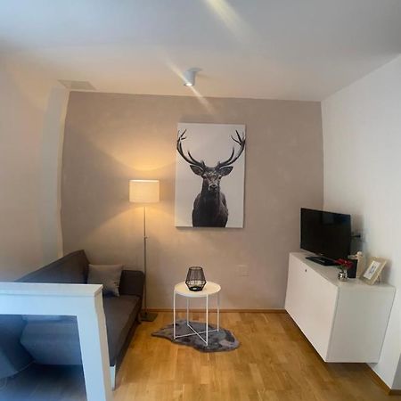 Appartement In Graz-Geidorf Dış mekan fotoğraf